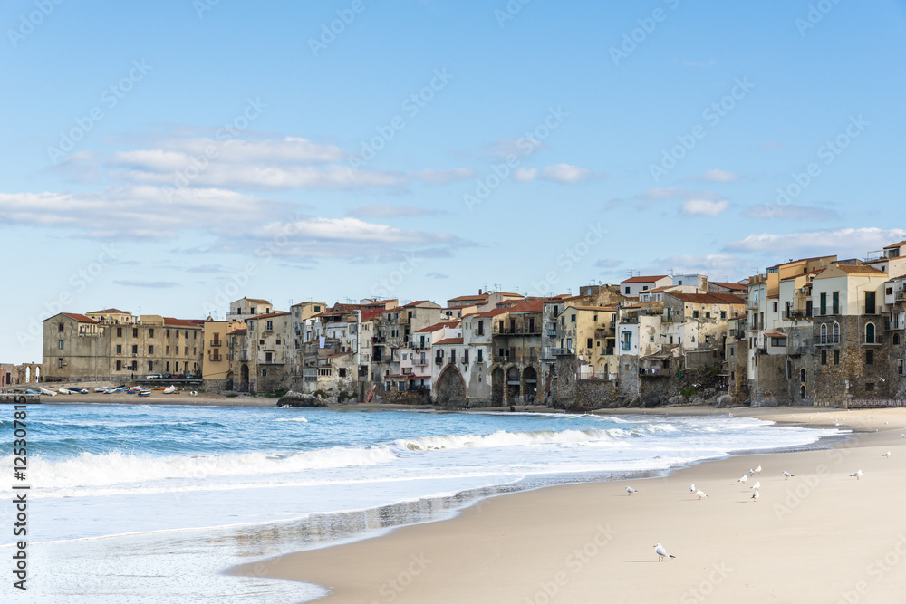 Seagulls on the Cefalu beach. Sicily. Italy