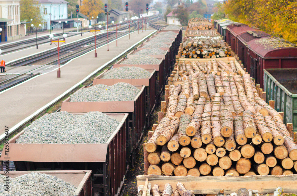 Obraz premium Environment, nature and deforestation forest - felling of trees. The concept of a global problem. Freight train loaded with pine trunks.