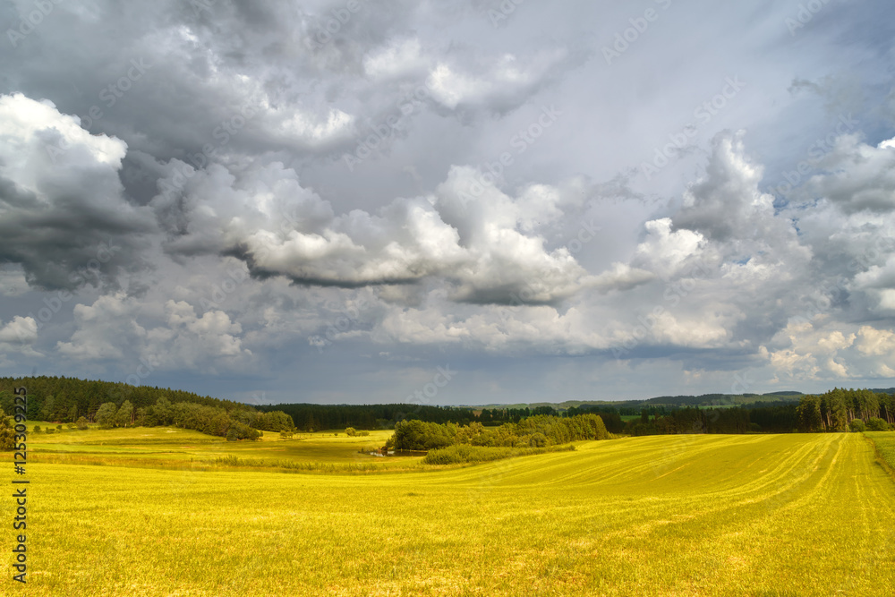 Spring summer background - grass field meadow scenery lanscape Spring summer background - grass field meadow scenery lanscape