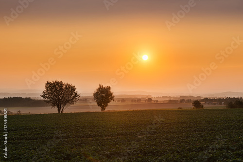 sunset over a foggy field © tomaspic