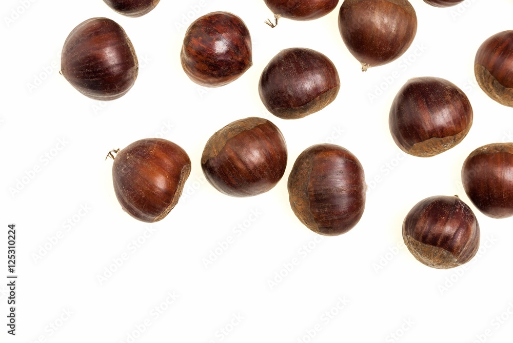 Some Chestnuts Isolated on White Background Some Chestnuts Isolated on White Background