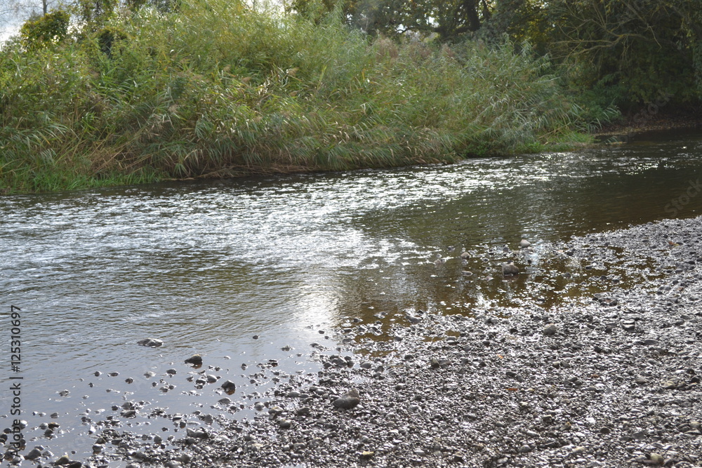 River River