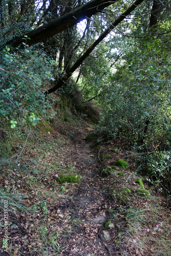 Corfu Trail, Greece