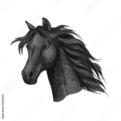 Black raven horse head portrait