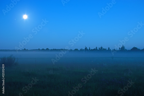 Field of grass during summer in the fog at night in the moonligh