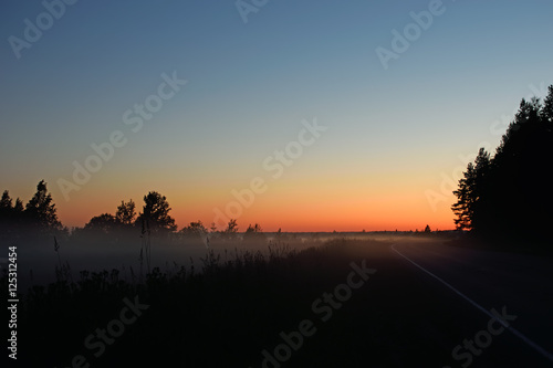 Wallpaper Mural Road in a forest at sunset in the summer in the fog Torontodigital.ca