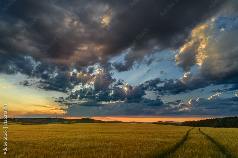 Landscape with sunny dawn in a field with clouds Landscape with sunny dawn in a field with clouds