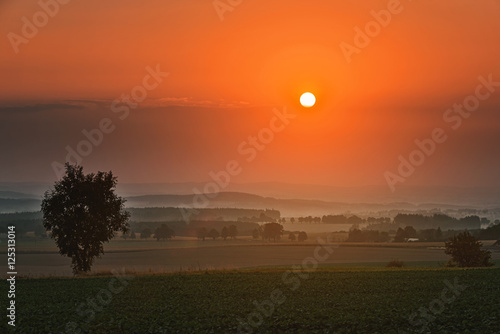 sunset over a foggy field