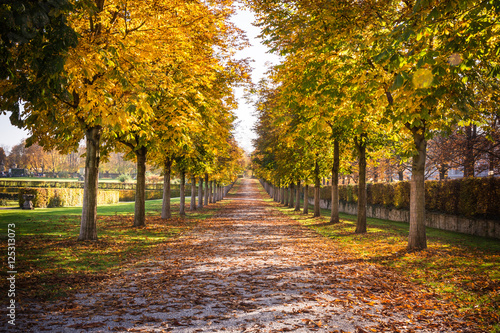 Park Pathway Trail Autumn Fall Stone Dirt Walking Long Perspecti © hunterbliss