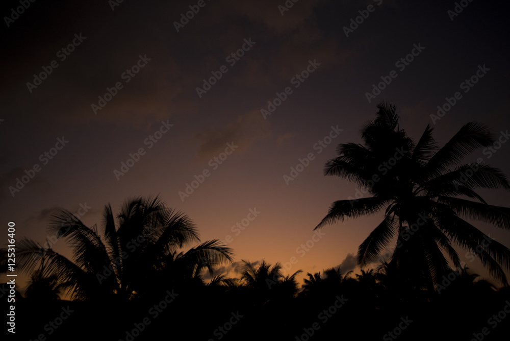 Fototapeta premium Tropical Sunset Background