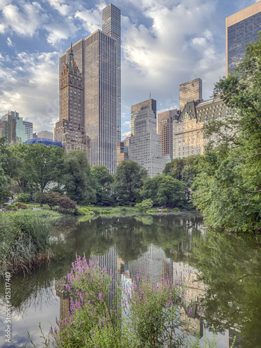 Fototapeta Naklejka Na Ścianę i Meble -  Central Park, New York City