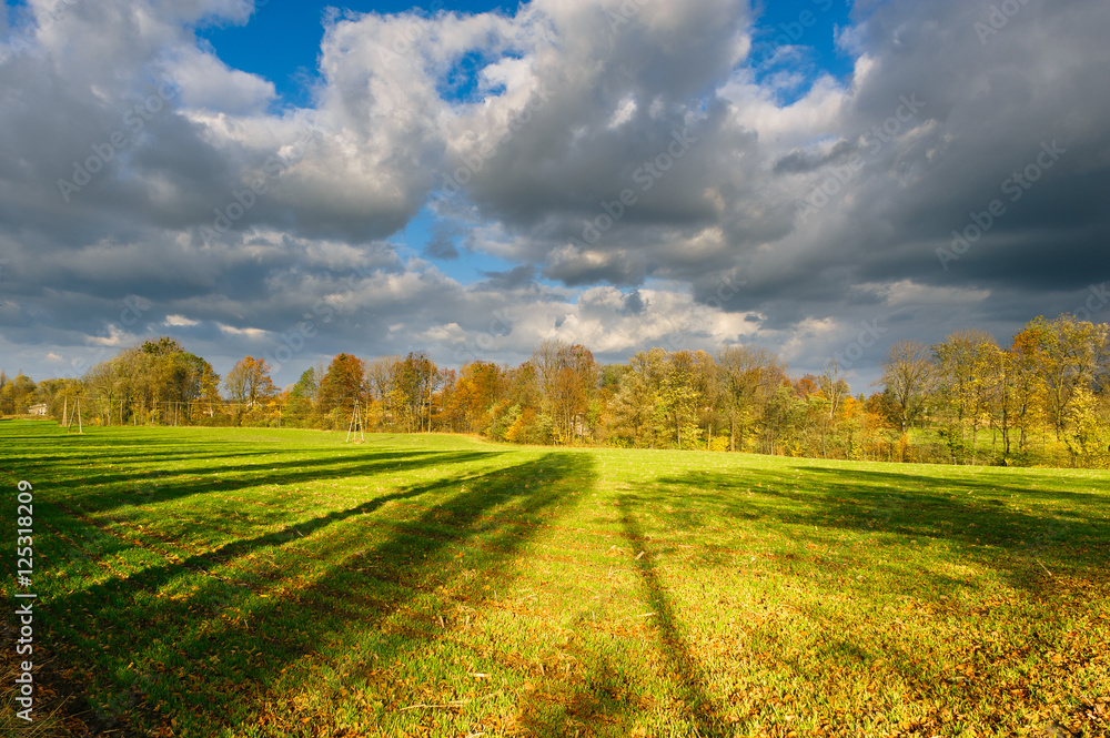 Autumn landscape field with clouds on the sky
