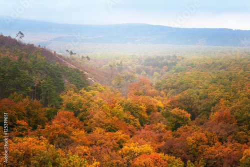 Colorful trees landscape in autumn