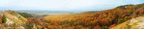 Colorful panorama landscape in autumn © waku