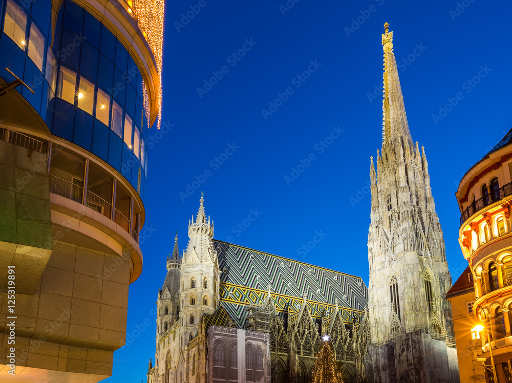 Obraz premium St. Stephan cathedral and christmas tree, Vienna