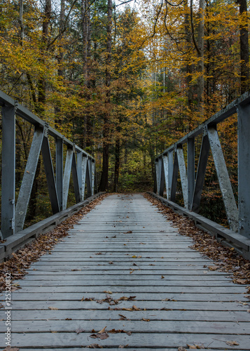 One Lane Bridge in Fall © kellyvandellen