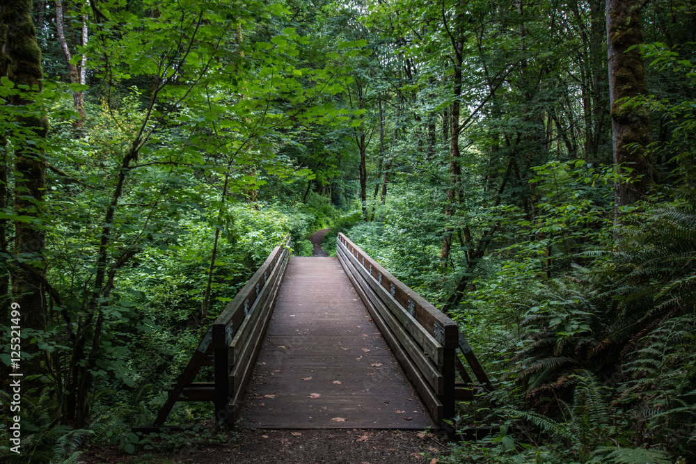 Fototapeta premium Coal Creek bridge