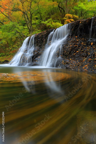 葛丸渓流 紅葉の一の滝
