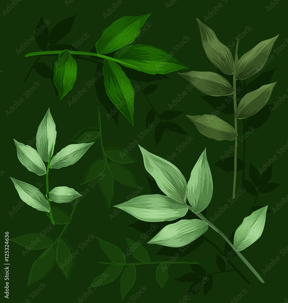 green leaf set green leaf set