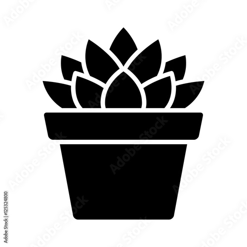 Haworthia Cooperi succulent potted plant flat icon for apps and websites
