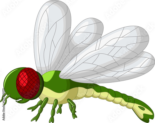 cute green dragonfly cartoon