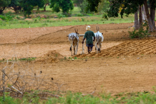A village farmer ploughing his fields using cattle and a simple plough that has been passed down for generations. These people are living a simple but happy lifestyle.
