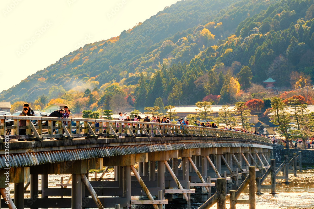 Fototapeta premium Togetsukyo Bridge at Arashiyama