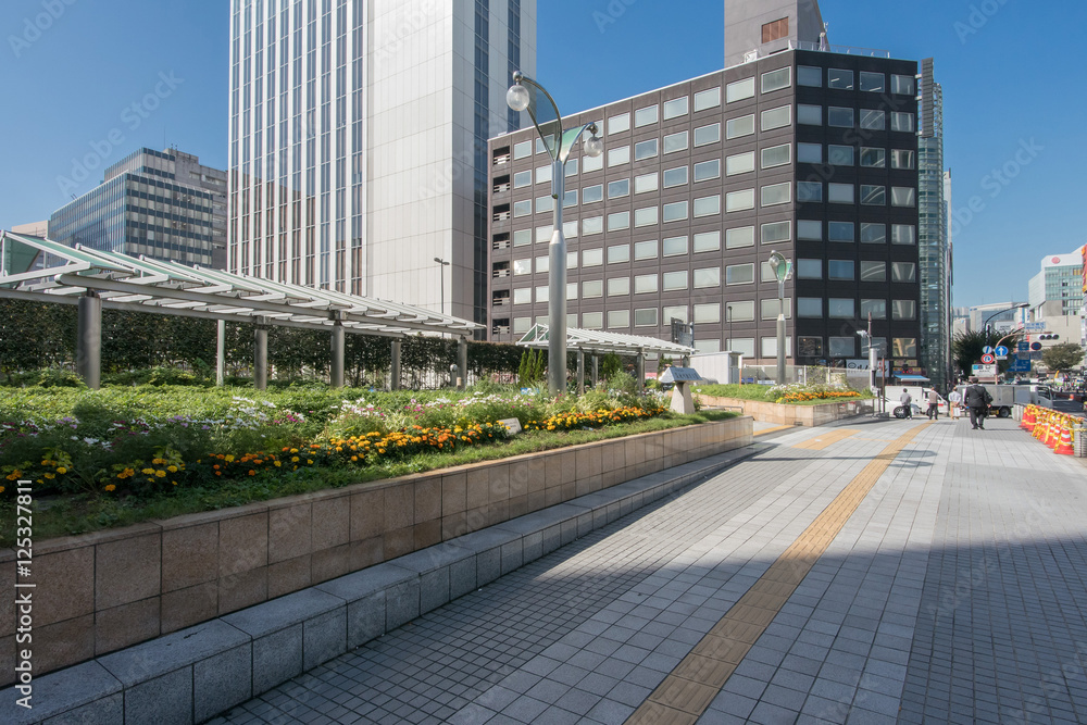 Fototapeta premium 築地川銀座公園