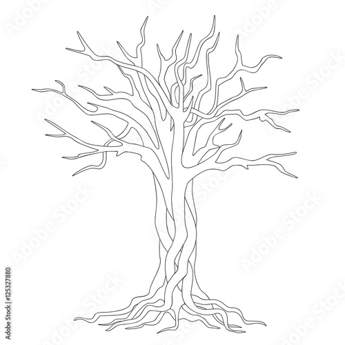 hand drawn contour of tree