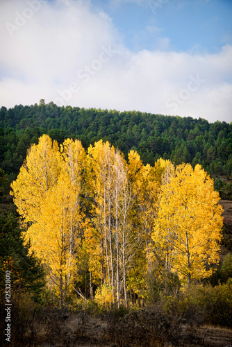 Autumn colors in Cuenca province, Spain