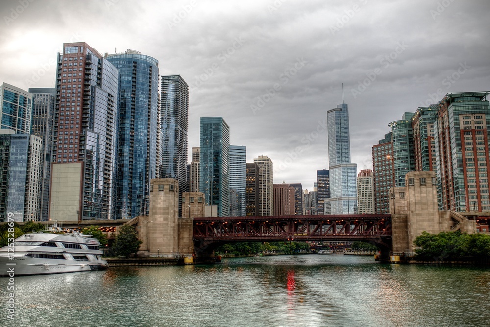 Fototapeta premium Chicago Skyline Cityscape Architecture Tour