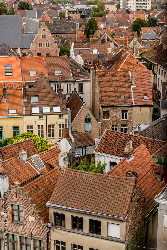 Belgium Rooftops