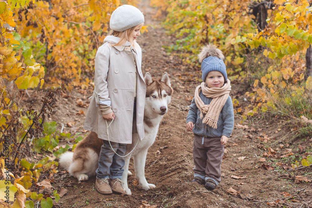 Girl and boy in vineyard with husky dog