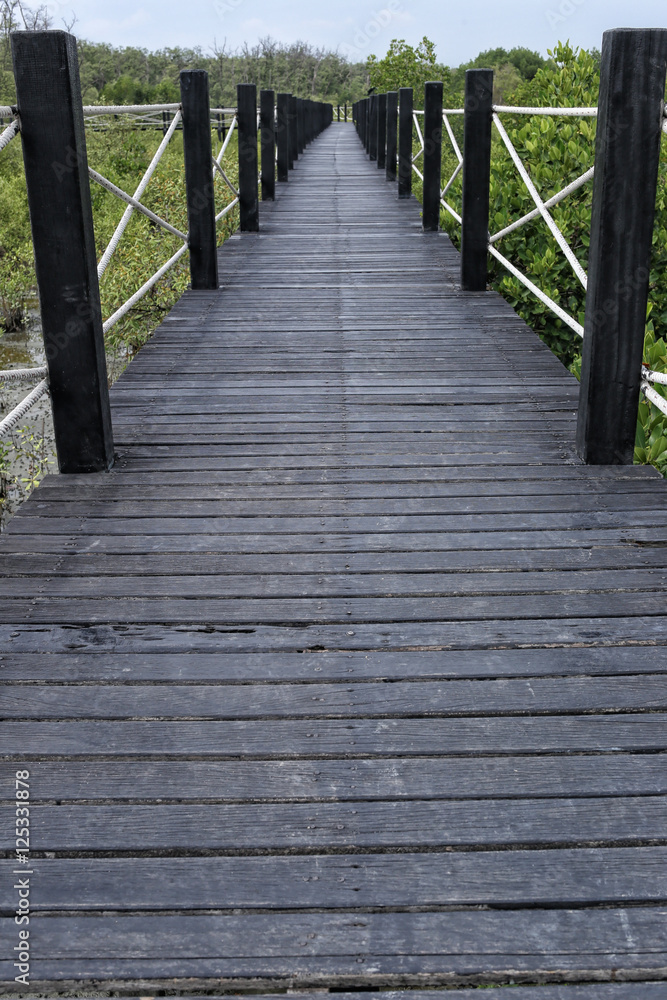 Wooden bridge of walkways in mangrove forest with green leaves.