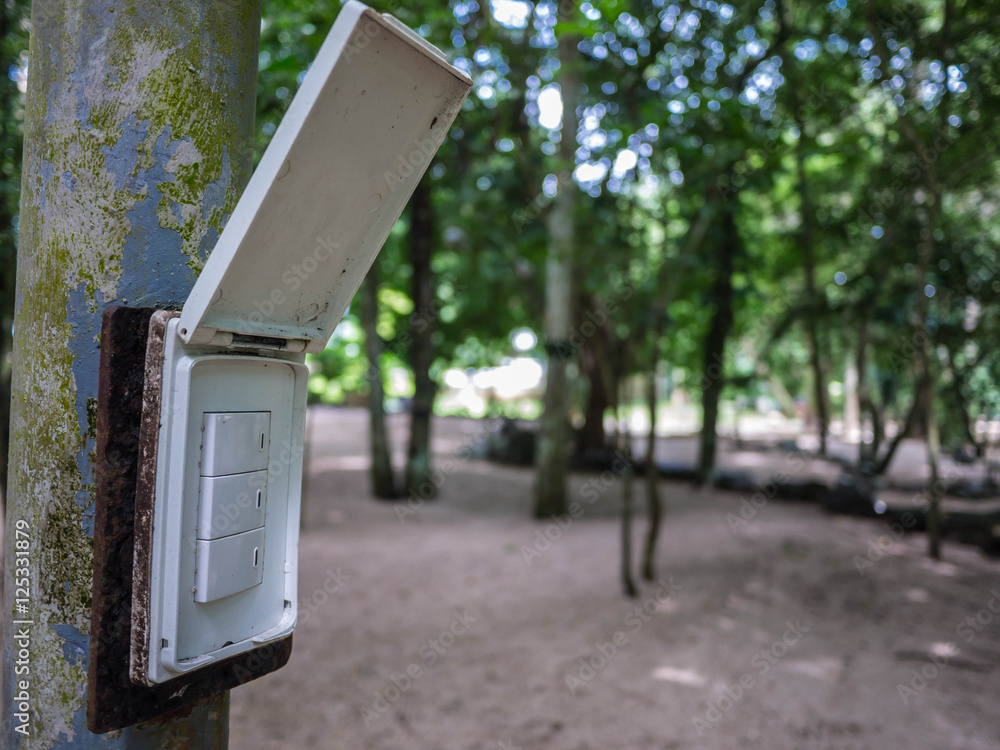 Switch in the middle of the woods Switch in the middle of the woods