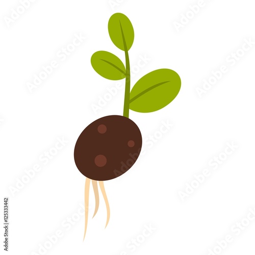 Sprout potatoes icon. Flat illustration of sprout potatoes vector icon for web