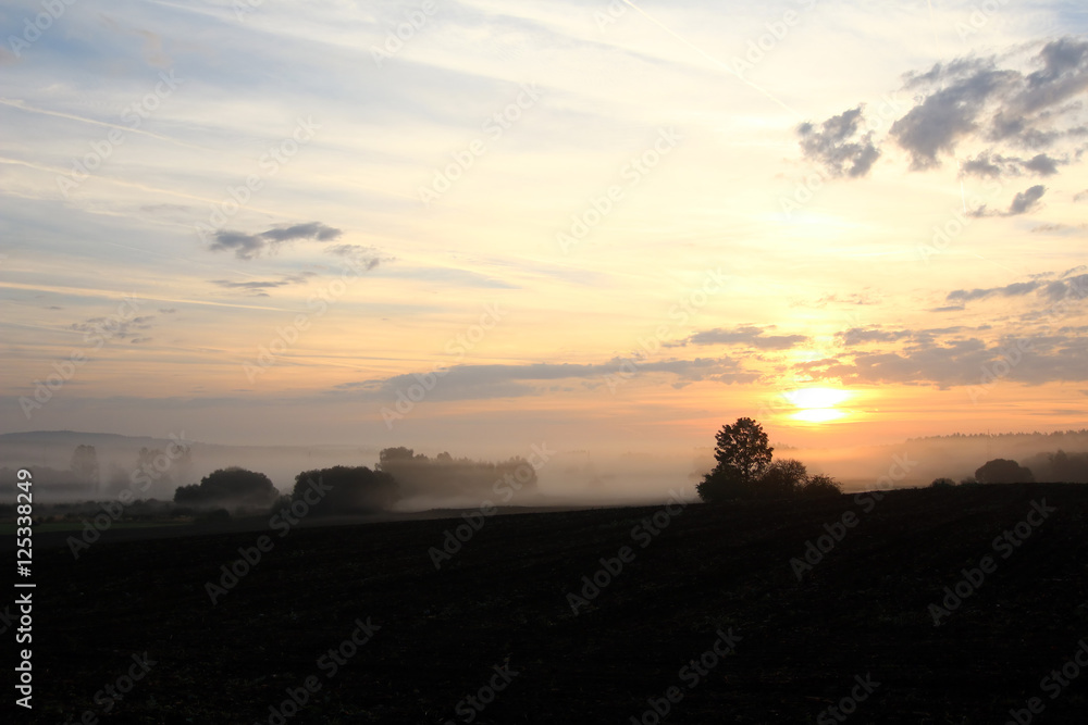Dawn over rural countryside