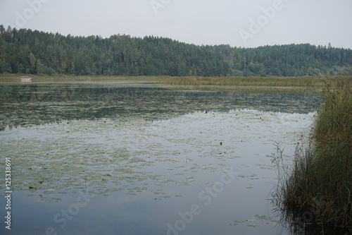 Gösselsdorfer See, See, Badesee, Eberndorf, Sittersdorf, verlandet, Landschaftsschutzgebiet, Völkermarkt photo