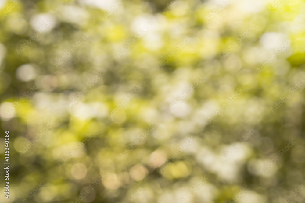 nature blurred background