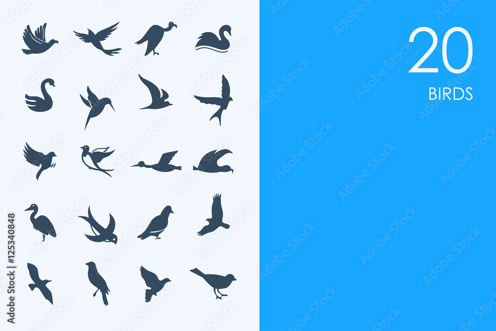 Fototapeta premium Set of BLUE HAMSTER Library birds icons