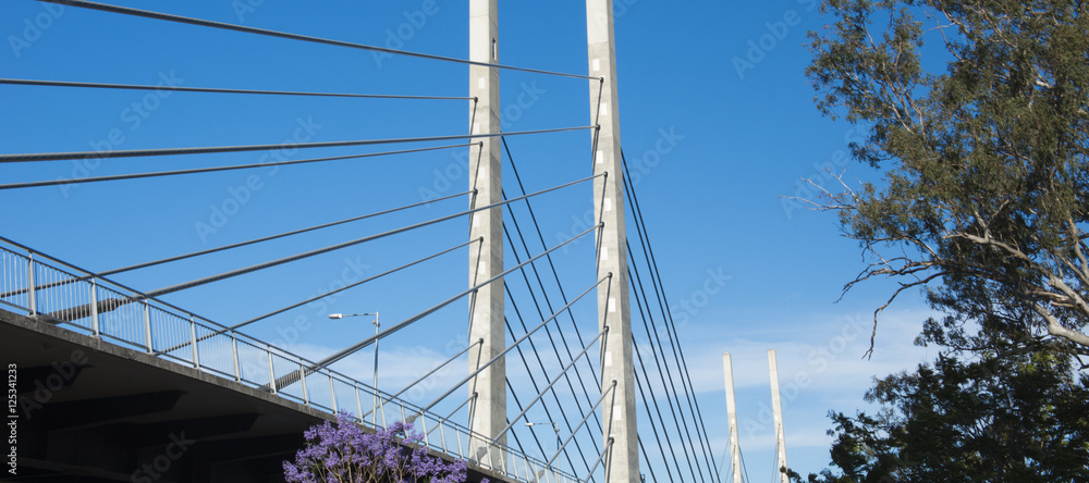 View of the Eleanor Schonell Bridge in Brisbane, Queensland during the afternoon. View of the Eleanor Schonell Bridge in Brisbane, Queensland during the afternoon.