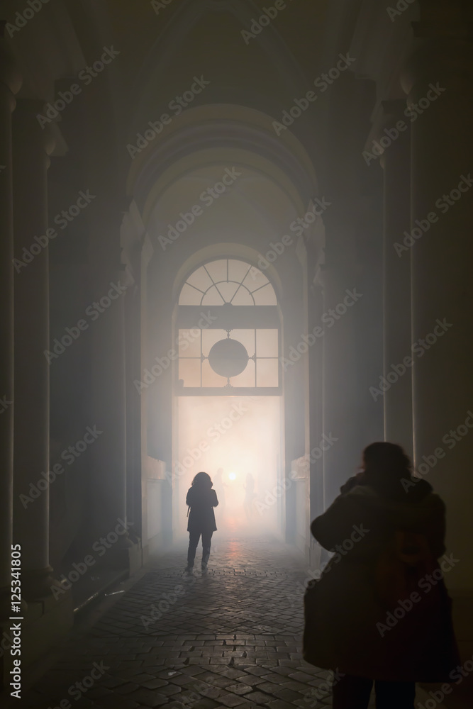 Secret passage in a baroque house domed fog silhouette unknown persons