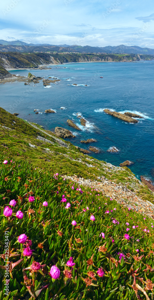 Summer blossoming Cape Vidio (Asturian coast, Spain).