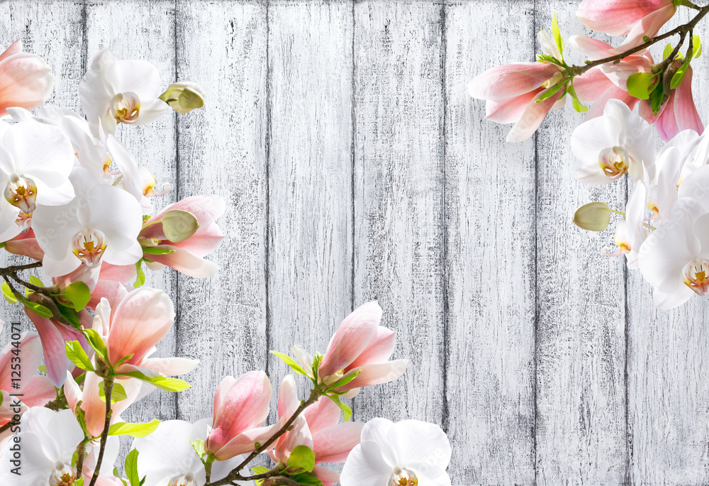 Fototapeta premium Magnolia z orchideą na tle podławych desek