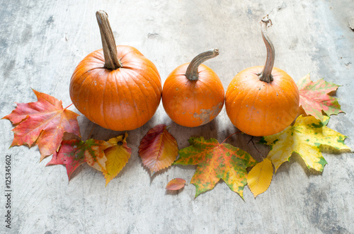 Pumpkins on a wooden background/Thanksgiving day concept