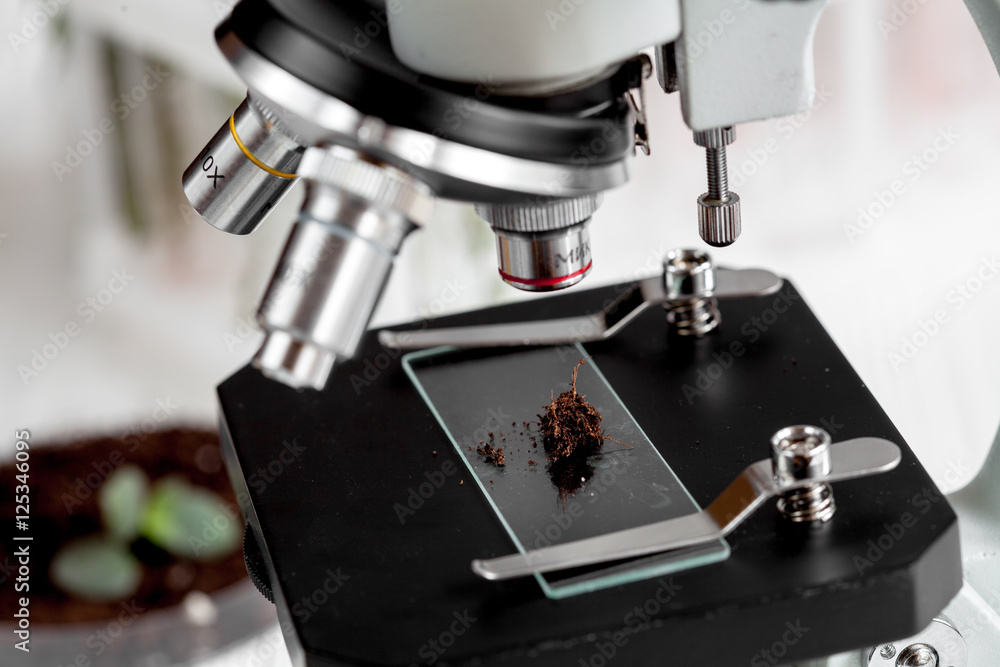 analysis of soil samples under microscope analysis of soil samples under microscope