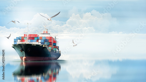 Logistics and transportation of International Container Cargo ship in the ocean with Group of Birds , Freight Transportation, Shipping   © enanuchit