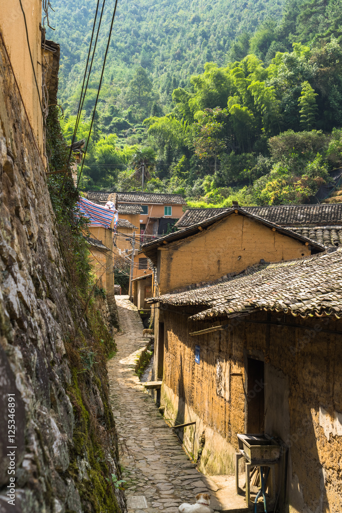 roofs of Chinese old Village houses.