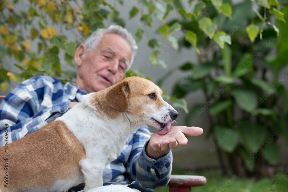 Senior man with dog in courtyard Senior man with dog in courtyard