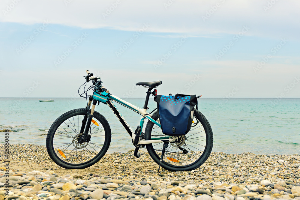 Mountain bike parked on the beach.